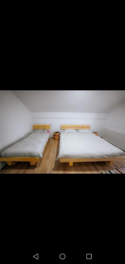 Casa Pietrosu Rodnei Hotel Borsa  Luaran gambar