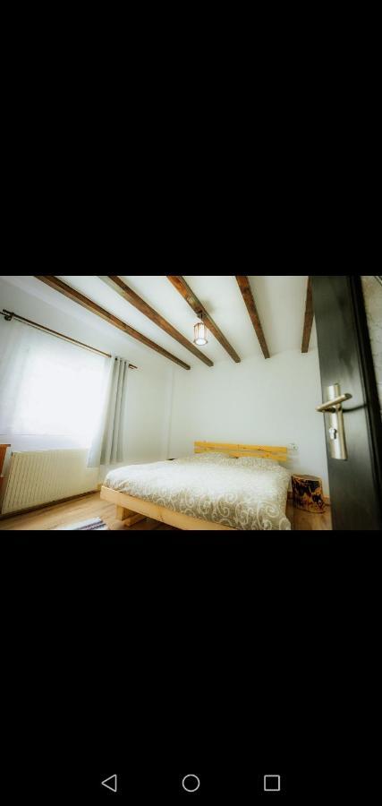 Casa Pietrosu Rodnei Hotel Borsa  Luaran gambar