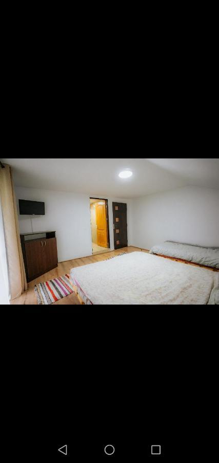 Casa Pietrosu Rodnei Hotel Borsa  Luaran gambar