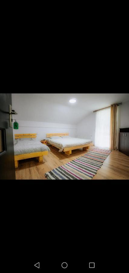 Casa Pietrosu Rodnei Hotel Borsa  Luaran gambar