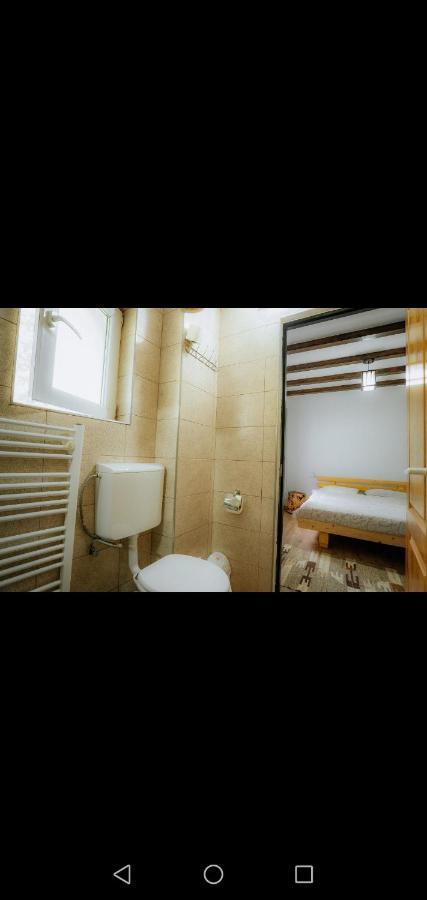 Casa Pietrosu Rodnei Hotel Borsa  Luaran gambar