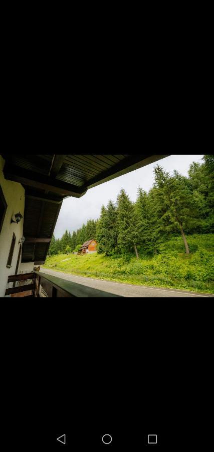 Casa Pietrosu Rodnei Hotel Borsa  Luaran gambar