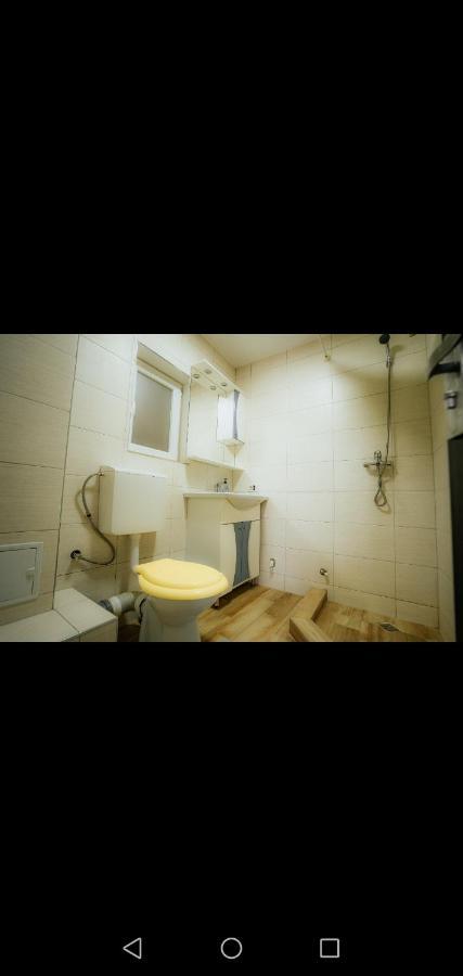 Casa Pietrosu Rodnei Hotel Borsa  Luaran gambar