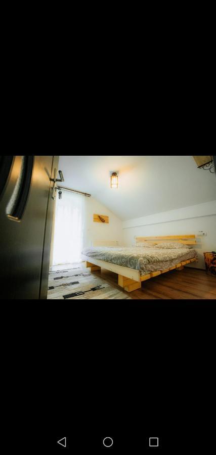 Casa Pietrosu Rodnei Hotel Borsa  Luaran gambar