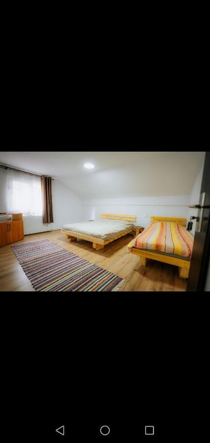 Casa Pietrosu Rodnei Hotel Borsa  Luaran gambar