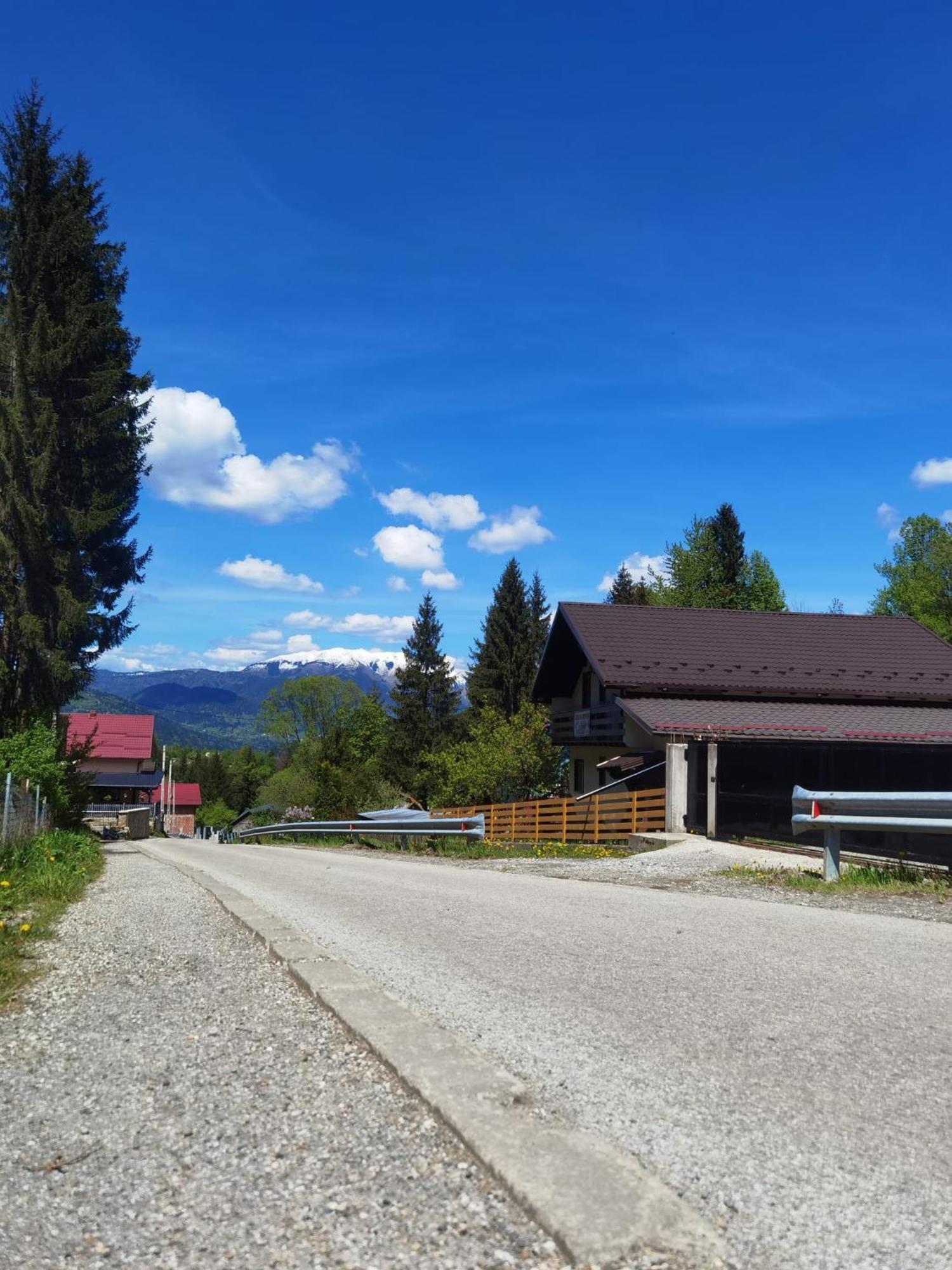 Casa Pietrosu Rodnei Hotel Borsa  Luaran gambar