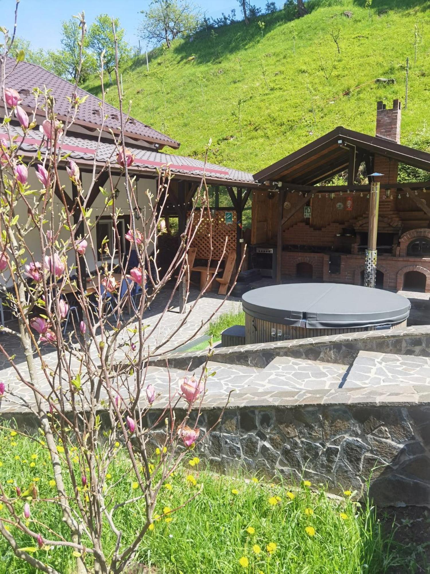 Casa Pietrosu Rodnei Hotel Borsa  Luaran gambar